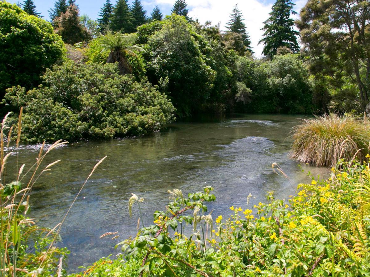 Bellbird Cottage - Lake Taupo Bach Waitahanui ภายนอก รูปภาพ